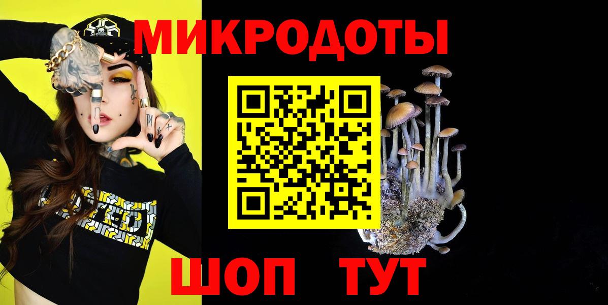 Псилоцибиновые грибы мицелий  даркнет сайт  Дальнегорск  Псилоцибиновые грибы мицелий  Вход с VPN 
